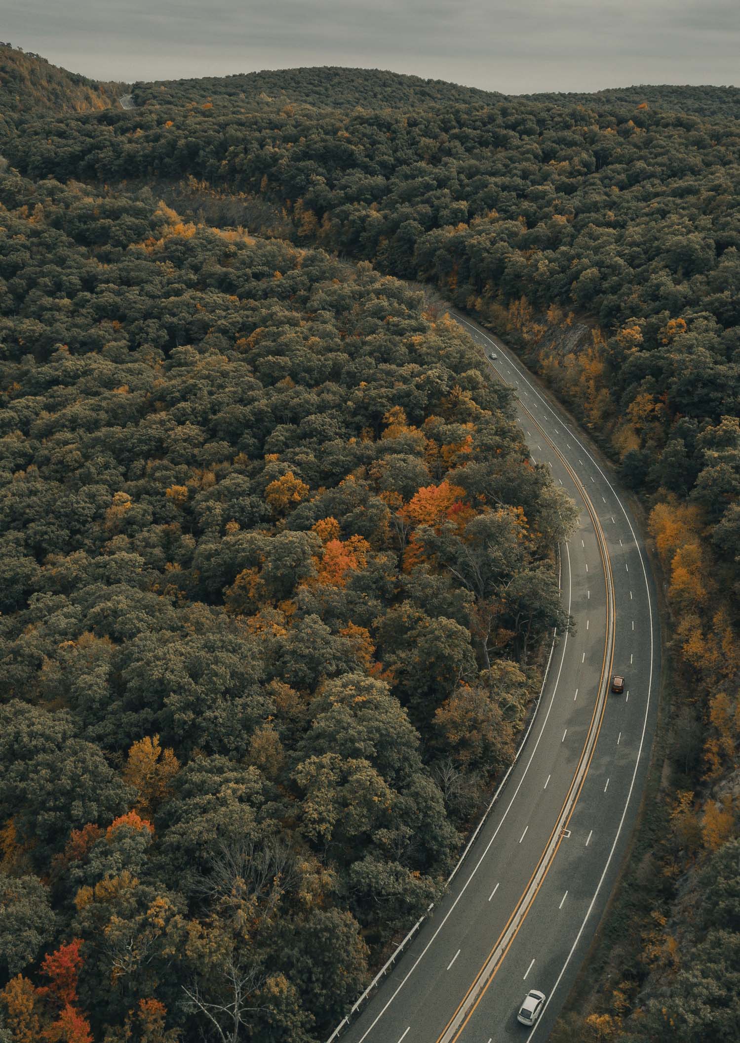 Pashley Manor Gardens, East Sussex